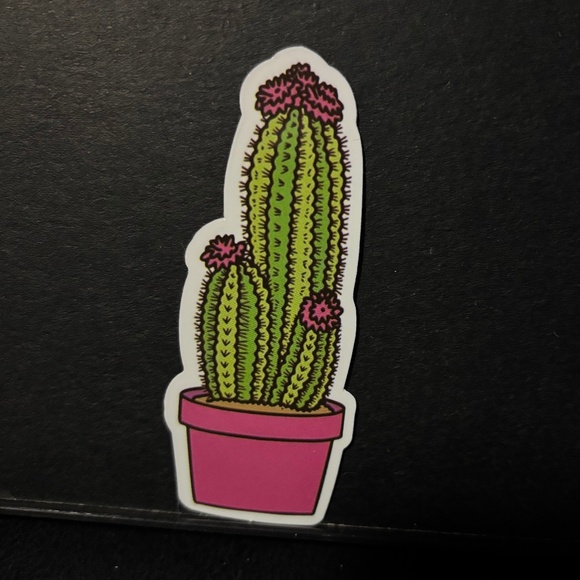 CATCUS STICKER - Picture 1 of 1